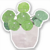 Pilea - huis plant sticker (Voorkant)