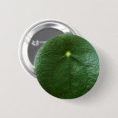 Pilea Peperomioides Button (Voorkant /achterkant)