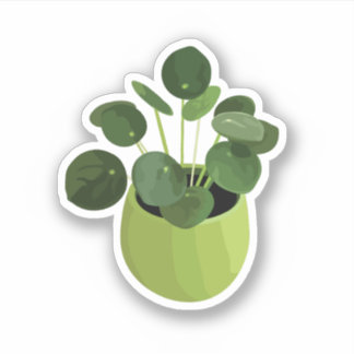 Pilea Peperomioides House Plant Sticker
