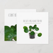 Pilea Sweet Plant Pun Valentijn Feestdagenkaart (Voorkant / Achterkant)