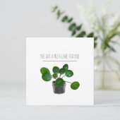 Pilea Sweet Plant Pun Valentijn Feestdagenkaart (Staand voorkant)