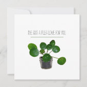 Pilea Sweet Plant Pun Valentijn Feestdagenkaart (Voorkant)