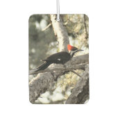 Pileated Woodpecker Air Freshener Luchtverfrisser (Voorkant)