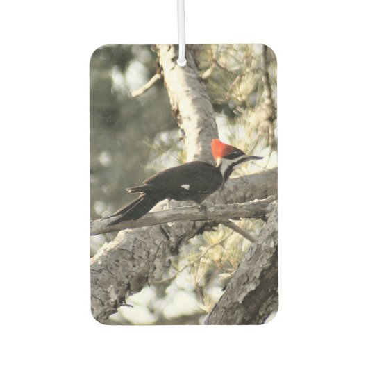 Pileated Woodpecker Air Freshener Luchtverfrisser (Voorkant)