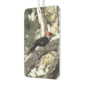 Pileated Woodpecker Air Freshener Luchtverfrisser (Links)