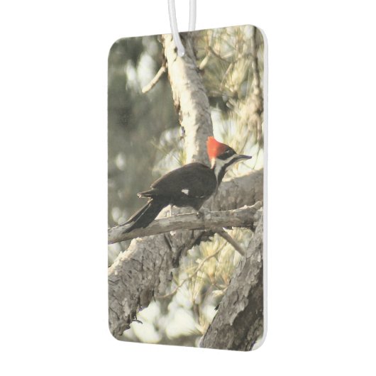 Pileated Woodpecker Air Freshener Luchtverfrisser (Links)