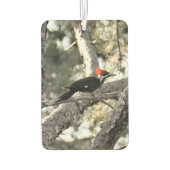 Pileated Woodpecker Air Freshener Luchtverfrisser (Achterkant)