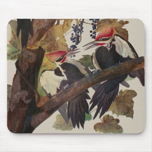 Pileated Woodpecker Audubon Bird Wildlife Painting Muismat (Voorkant)