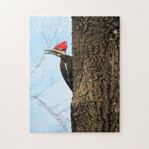 Pileated Woodpecker - Bird - Puzzle Legpuzzel