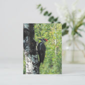 Pileated Woodpecker Briefkaart (Staand voorkant)