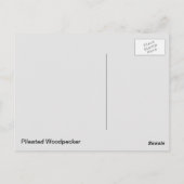 Pileated Woodpecker Briefkaart (Achterkant)