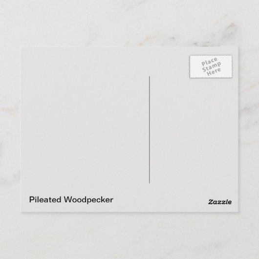 Pileated Woodpecker Briefkaart (Achterkant)