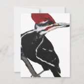 Pileated Woodpecker Feestdagenkaart (Voorkant)