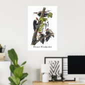 Pileated Woodpecker, John Audubon Poster (Thuiskantoor)