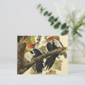 Pileated Woodpecker, John James Audubon Fine Art Briefkaart (Staand voorkant)