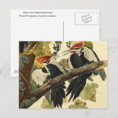 Pileated Woodpecker, John James Audubon Fine Art Briefkaart (Voorkant / Achterkant)