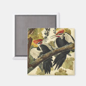 Pileated Woodpecker, John James Audubon Magneet (Voorkant / Achterkant)