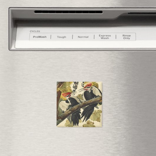 Pileated Woodpecker, John James Audubon Magneet (Insitu (Vaatwasser))