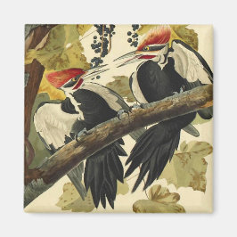 Pileated Woodpecker, John James Audubon Magneet