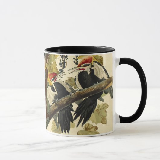 Pileated Woodpecker, John James Audubon Mok (Rechts)