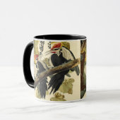 Pileated Woodpecker, John James Audubon Mok (Voorkant links)