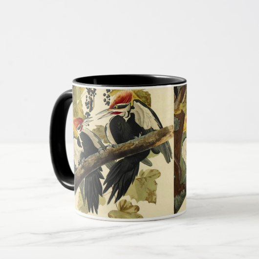 Pileated Woodpecker, John James Audubon Mok (Voorkant links)