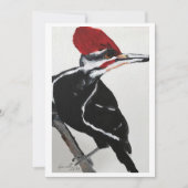 Pileated Woodpecker Kaart (Voorkant)