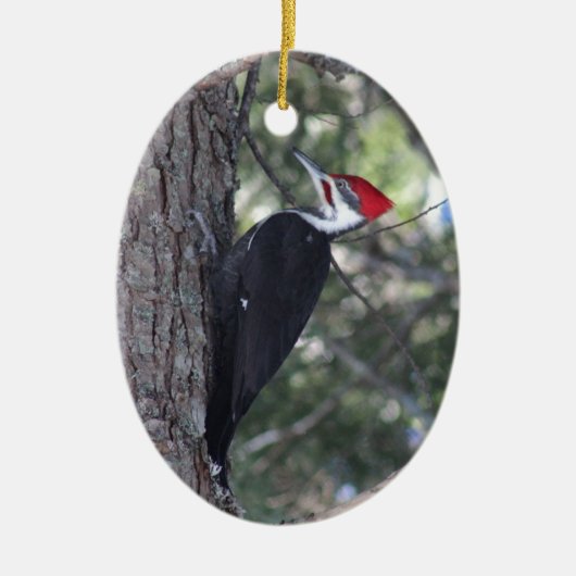 Pileated Woodpecker Keramisch Ornament (Voorkant)