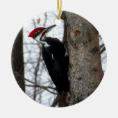 Pileated Woodpecker Keramisch Ornament (Voorkant)