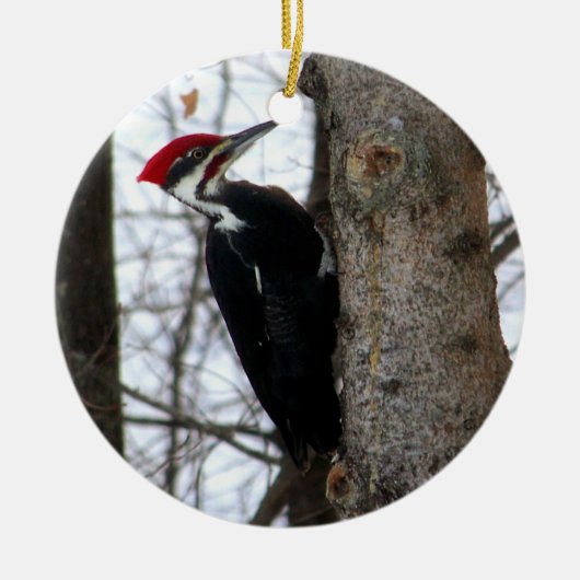 Pileated Woodpecker Keramisch Ornament (Voorkant)