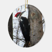 Pileated Woodpecker Keramisch Ornament (Links)