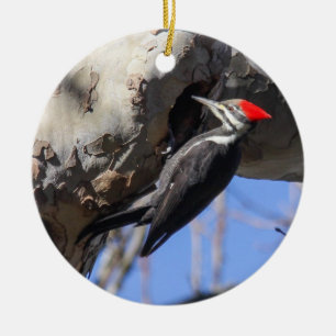 Pileated Woodpecker Keramisch Ornament