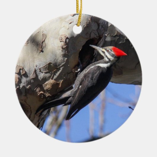 Pileated Woodpecker Keramisch Ornament (Voorkant)