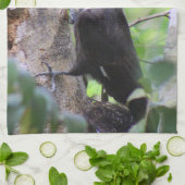 Pileated Woodpecker Kitchen Towel Dish Towel Theedoek (Gevouwen)