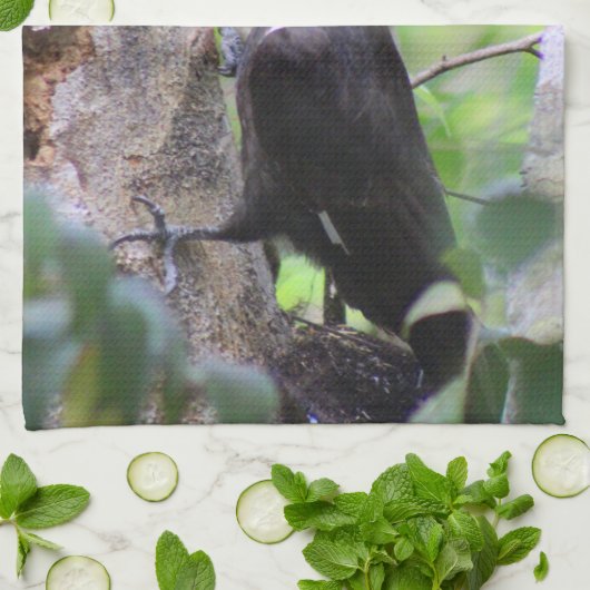 Pileated Woodpecker Kitchen Towel Dish Towel Theedoek (Gevouwen)