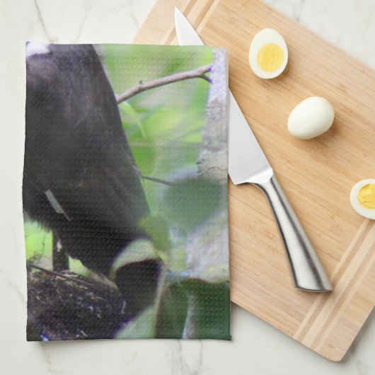 Pileated Woodpecker Kitchen Towel Dish Towel Theedoek (Quarter Fold)