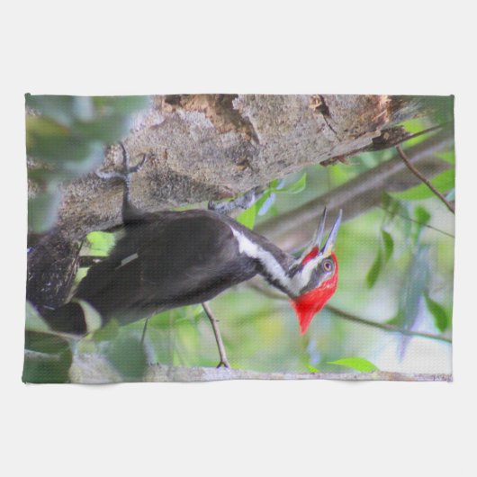 Pileated Woodpecker Kitchen Towel Dish Towel Theedoek (Horizontaal)