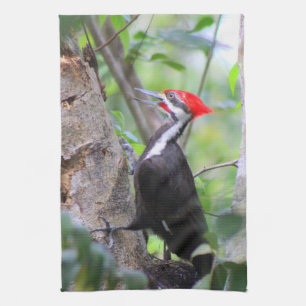 Pileated Woodpecker Kitchen Towel Dish Towel Theedoek