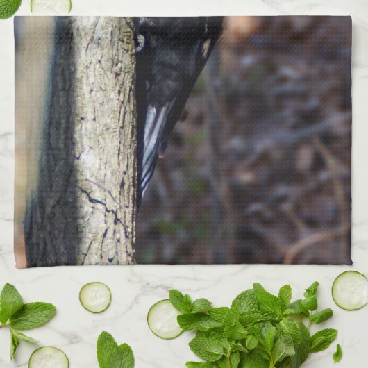 Pileated Woodpecker Kitchen Towel Theedoek (Gevouwen)