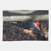 Pileated Woodpecker Kitchen Towel Theedoek (Horizontaal)