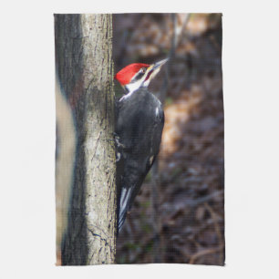 Pileated Woodpecker Kitchen Towel Theedoek