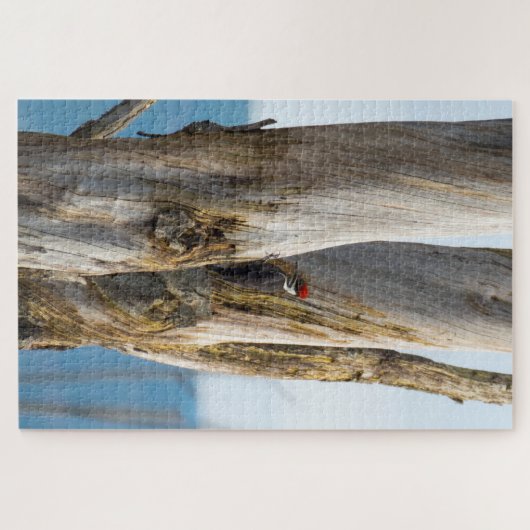 Pileated Woodpecker Legpuzzel (Horizontaal)