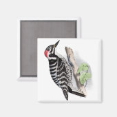 Pileated Woodpecker Magneet (Voorkant / Achterkant)