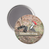 Pileated Woodpecker magnet (Voorkant / Achterkant)