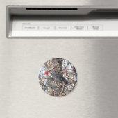 Pileated Woodpecker magnet (Insitu (Vaatwasser))