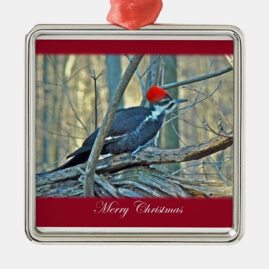 Pileated Woodpecker Merry Christmas Ornament (Voorkant)