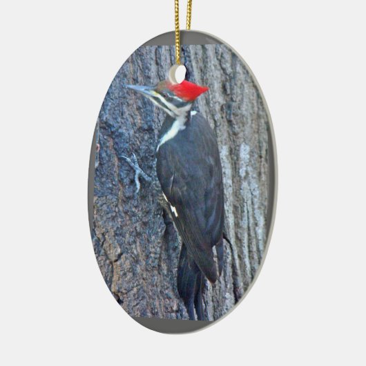 Pileated Woodpecker Merry Kerstversient Keramisch Ornament (Links)