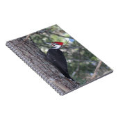 Pileated Woodpecker Notitieboek (Rechterzijde)