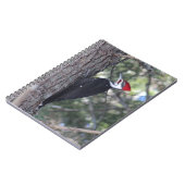 Pileated Woodpecker Notitieboek (Linkerzijde)