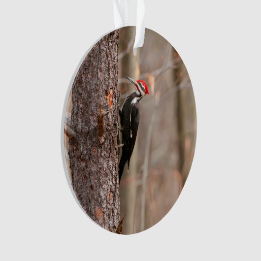 Pileated Woodpecker Ornament (voorkant)